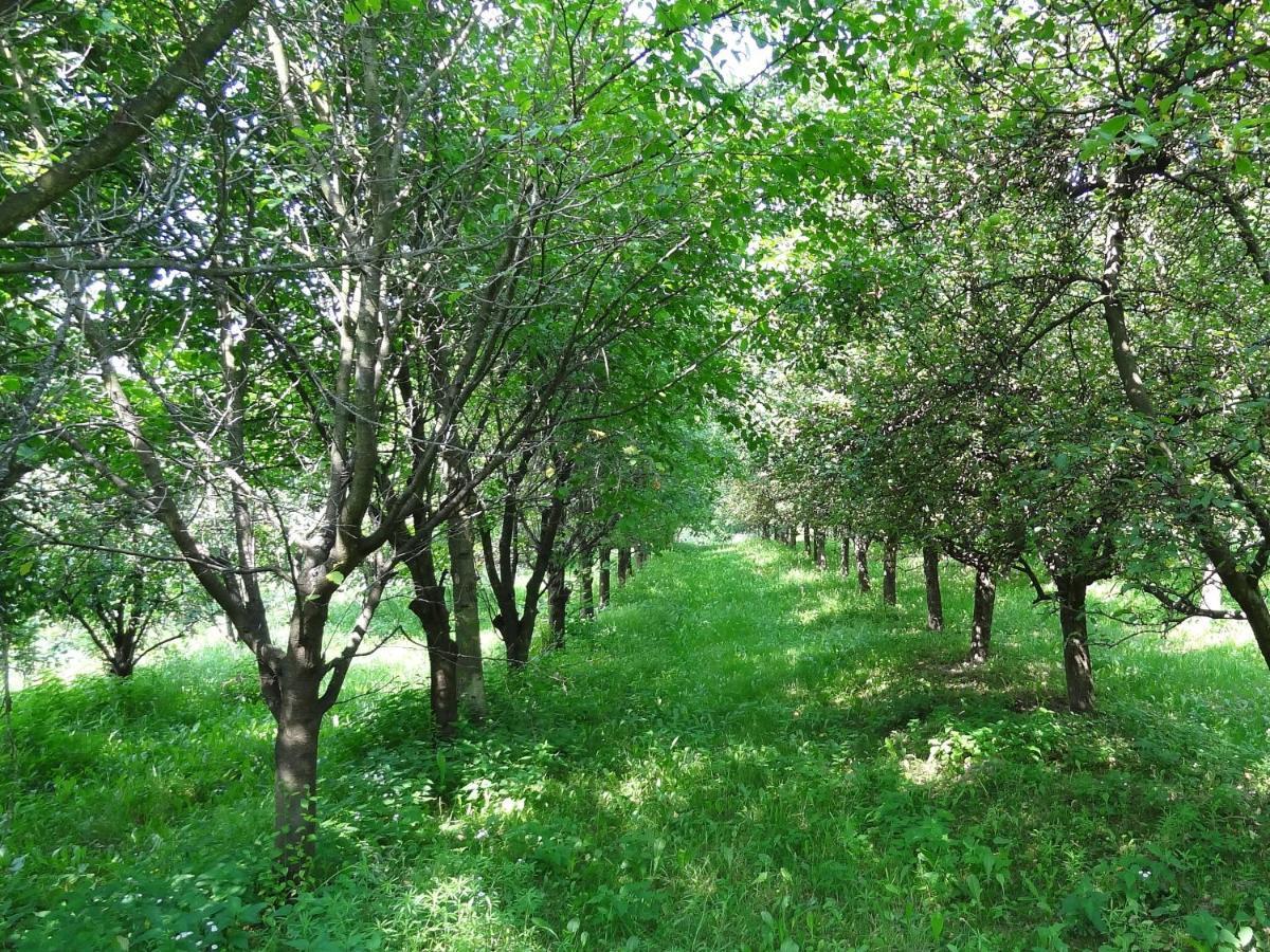 Apartament Parkowy Nałęczów Dış mekan fotoğraf
